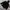 Adidas Sportswear Casual Windbreaker Pria black photo 1