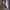 Nike Streetwear Y2K Sneakers Pria white photo 2