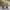 ELLE Vintage Streetwear Hat Pria tan cream photo 6
