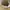 ELLE Vintage Streetwear Hat Pria tan cream photo 4