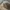 ELLE Vintage Streetwear Hat Pria tan cream photo 2