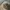 ELLE Vintage Streetwear Hat Pria Tan Cream