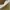 ELLE Vintage Streetwear Hat Pria tan cream photo 5
