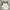 Streetwear Crop top Wanita white black photo 1