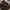Adidas Streetwear Skater Sneakers Pria brown black photo 1