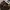 Adidas Streetwear Skater Sneakers Pria Brown Black