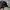 Chase Nascar Vintage Sportswear Hat Pria black photo 3