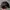 Chase Nascar Vintage Sportswear Hat Pria black photo 4