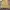 Eddie Bauer Casual Harrington jacket Pria cream photo 7