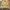 Eddie Bauer Casual Harrington jacket Pria cream photo 1