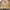 Eddie Bauer Casual Harrington Jacket Pria Cream