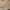 Eddie Bauer Casual Harrington jacket Pria cream photo 2