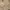 Eddie Bauer Casual Harrington Jacket Pria Cream