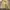 Eddie Bauer Casual Harrington jacket Pria cream photo 4