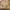 Eddie Bauer Casual Harrington jacket Pria cream photo 3