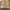 Eddie Bauer Casual Harrington jacket Pria cream photo 5