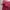 Nike Sportswear Casual Windbreaker Pria burgundy red photo 6
