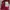 Nike Sportswear Casual Windbreaker Pria burgundy red photo 3