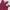 Streetwear Cami top Wanita burgundy photo 2