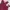 Streetwear Cami Top Wanita Burgundy