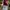Streetwear Cami top Wanita burgundy photo 3