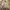 Playboy Casual Harrington jacket Pria cream photo 4