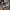 Converse Casual Hoody Pria gray photo 4