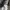 Converse Casual Hoody Pria gray photo 5
