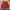 Beverly Hills Polo Club Casual Harrington jacket Pria red photo 7