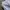 Japanese brand Vintage Indie T-shirt Pria white photo 4