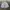 Japanese brand Vintage Indie T-shirt Pria white photo 1