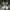 Emporio Armani Luxury Casual Sneakers Pria white photo 3