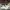 Emporio Armani Luxury Casual Sneakers Pria white photo 1