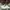 Emporio Armani Luxury Casual Sneakers Pria white photo 2