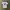 Made in USA Streetwear Y2K T-shirt Pria white photo 2