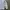 Made in USA Lolita Coquette Cardigan Wanita white photo 4