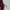 Luxury Bra Wanita burgundy photo 3