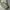Dior Casual Crossbody Bag Wanita white gray photo 8