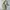 Dior Casual Crossbody Bag Wanita white gray photo 1
