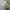 Dior Casual Crossbody Bag Wanita white gray photo 3