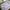 Furla Luxury Minimalist Shoulder bag Wanita white photo 3