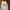 Furla Luxury Minimalist Shoulder bag Wanita white photo 2