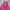Vintage Nightgown Wanita Pink