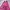 Vintage Nightgown Wanita pink photo 1