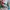 Casual Swimwear Wanita multicolor green photo 8