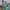 Casual Swimwear Wanita multicolor green photo 6