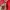 Playboy Vintage Wanita red photo 8