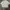 Quiksilver Vintage Indie T-shirt Pria white black photo 1