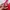 Casual Bra Wanita red photo 7