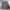 Casual Parka Wanita pink photo 4